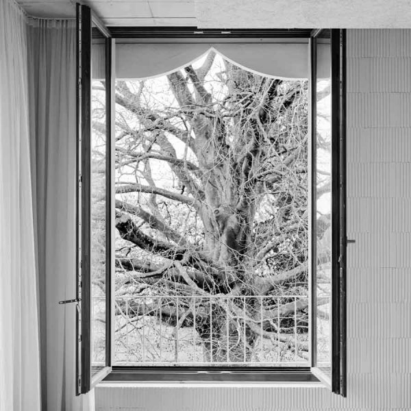 ADA Angela Deuber Architect Architects Architektin Architecture
Switzerland Swiss Schweiz Zurich Zürich
Conversion Umbau Psychosomatic clinic Specialist Clinic Psychosomatische Klinik Fachklinik
Continuing the life of a Walled Garden Weiterbau eines ummauerten Gartens
The Islands